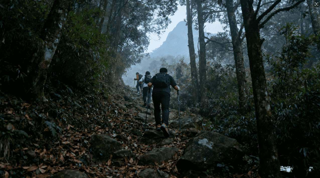 旋风加速器百度百科详细介绍与使用指南